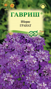 Семена Иберис зонтичный Гранат, 0,1г, Гавриш. Цветочная коллекция