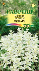 Семена Сальвия Белый монарх, 0,05г, Гавриш, Цветочная коллекция