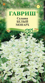 Семена Сальвия Белый монарх, 0,05г, Гавриш, Цветочная коллекция