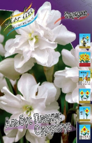 Нарцисс Альбус Пленус Одоратус (Narcissus Albus Plenus Odoratus), 5шт, Color Line