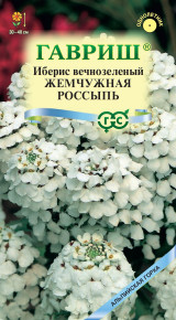 Семена Иберис зонтичный Жемчужная россыпь, 0,1г, Гавриш, Альпийская горка