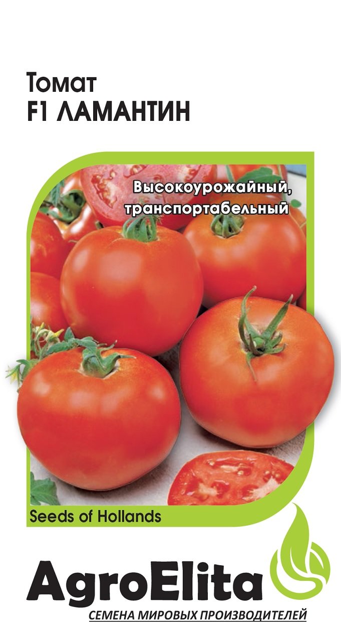 Купить Семена Томатов Голландской Селекции В Белореченске