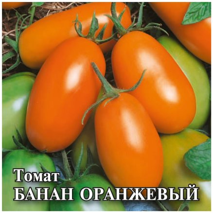 Семена Томат Банан оранжевый, 25г, Гавриш, Фермерское подворье