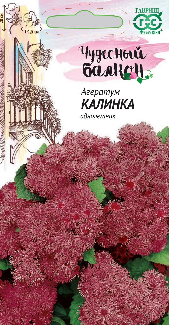 Агератум Калинка: описание сорта, характеристики, отзывы о посадке и выращивании