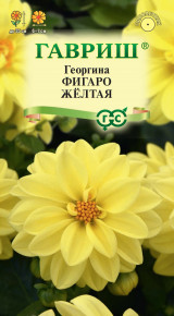 Семена Георгина Фигаро желтая, 7 шт, Гавриш, Цветочная коллекция