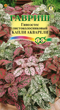 Семена Гипоэстес листоколосниковый Капли акварели, 5шт, Гавриш, Цветочная коллекция