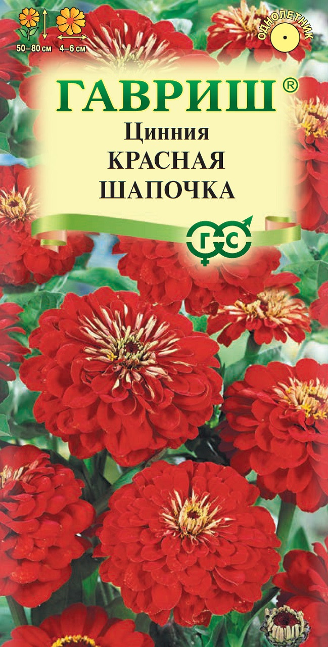 Цинния Красная Шапочка: описание сорта, характеристики, посадка и выращивание, отзывы