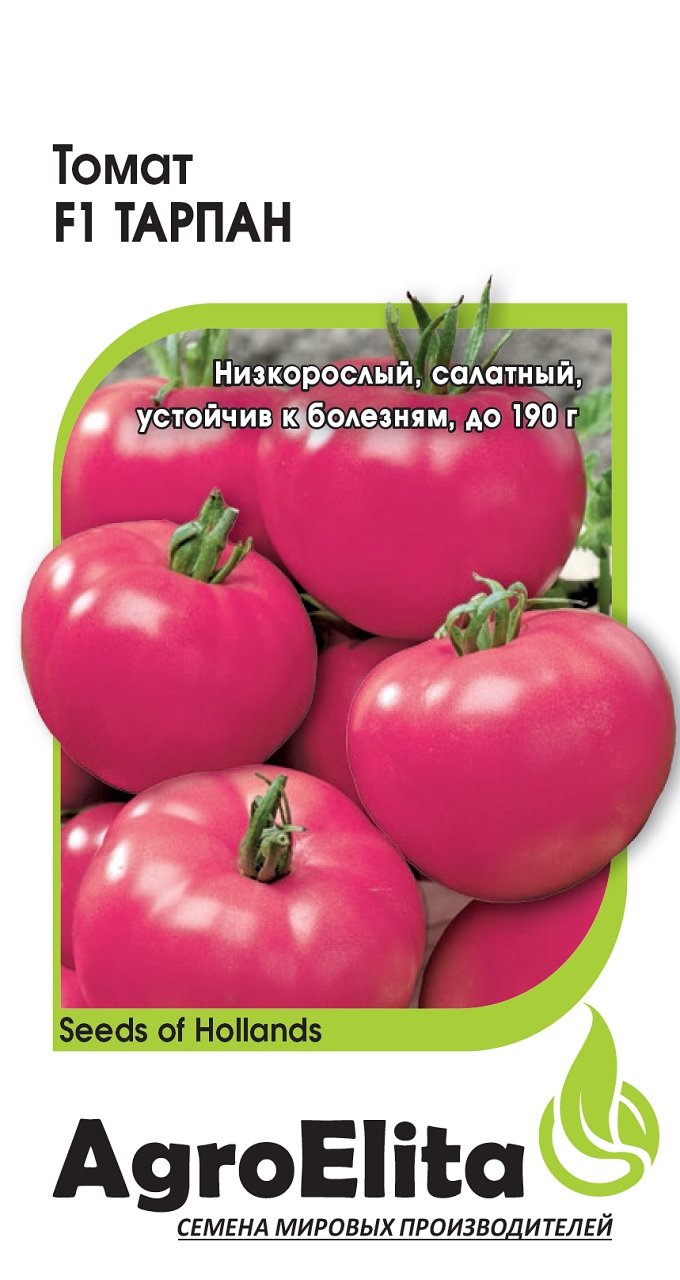 Особенности структуры растения