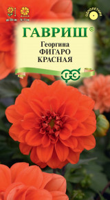 Семена Георгина Фигаро красная, 7 шт, Гавриш, Цветочная коллекция