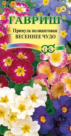 Семена Примула полиантовая Весеннее чудо, смесь, 4шт, Гавриш, Цветочная коллекция