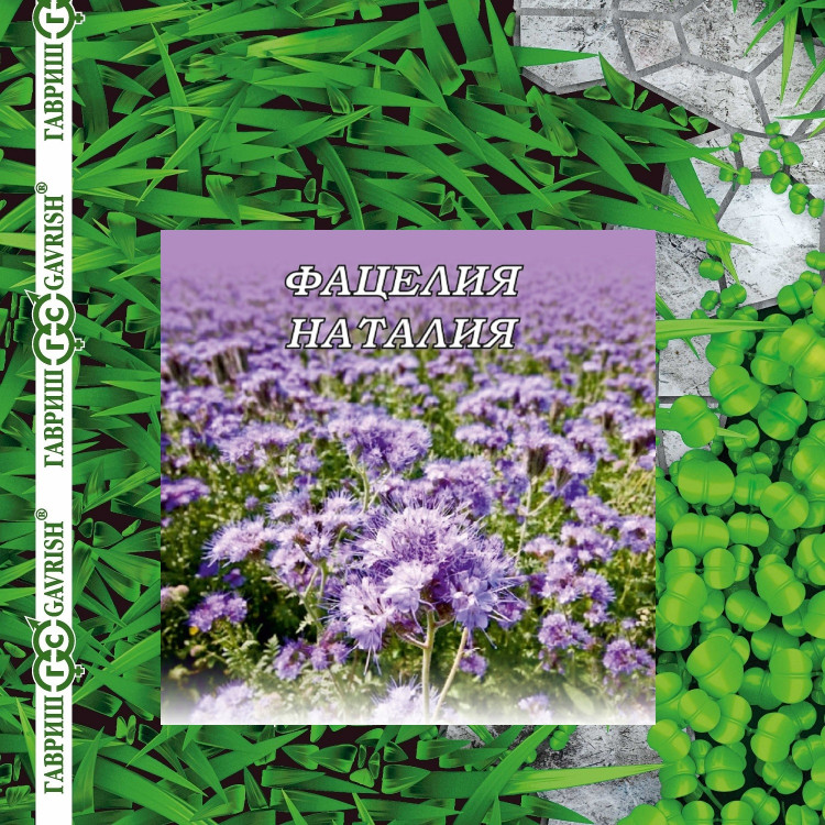 Семена Фацелия Наталия, 1,0кг, Гавриш, Зеленое удобрение по цене 1 592 ...
