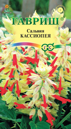 Семена Сальвия Кассиопея, 5шт, Гавриш, Цветочная коллекция