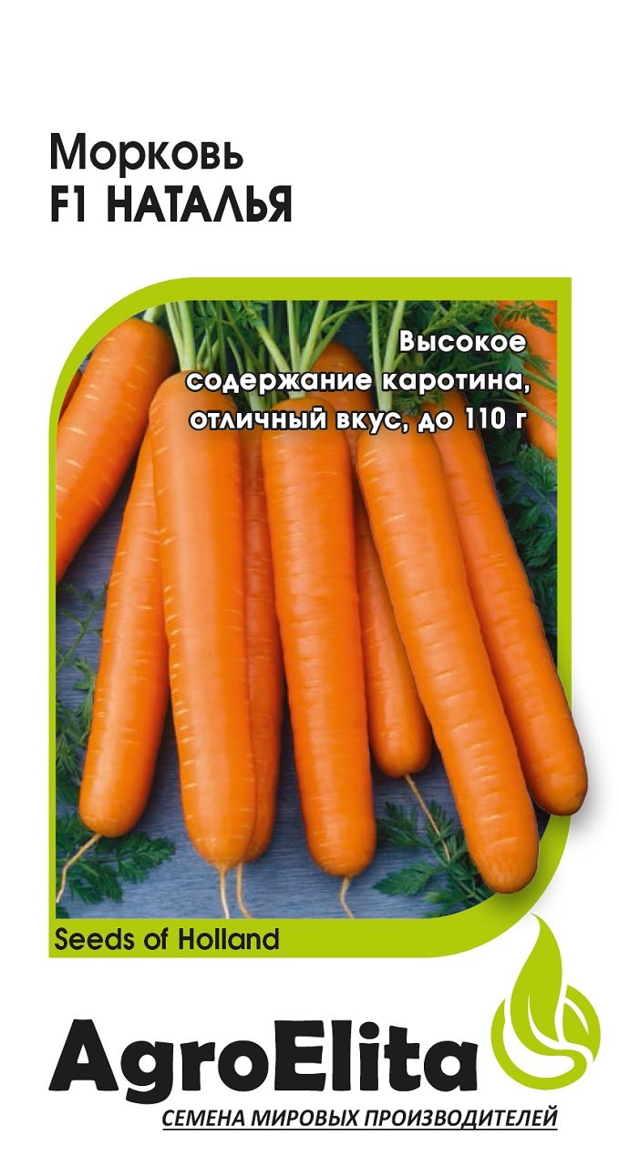 Купить Голландские Семена Морковь