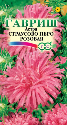 Семена Астра Страусово перо розовая, 0,3г, Гавриш, Цветочная коллекция
