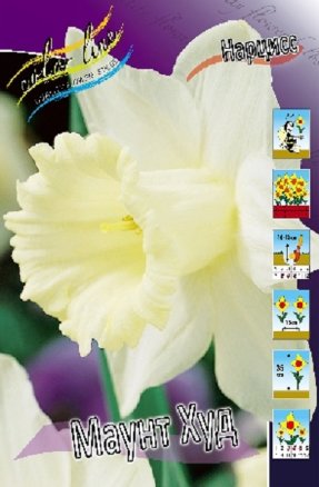 Нарцисс Маунт Худ (Narcissus Mount Hood), 10шт, Color Line