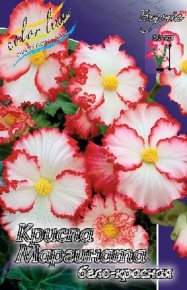 Бегония Криспа Маргината (Begonia Crispa Marginata) бело-красная, 5шт, Color Line