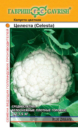 Семена Капуста цветная Целеста, 10шт, Гавриш, Ведущие мировые производители, Rijk Zwaan
