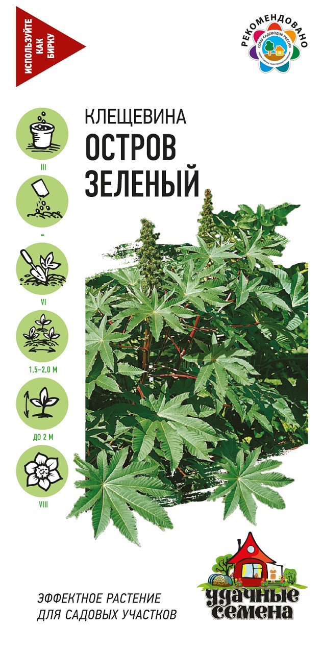 Клещевина остров зеленый