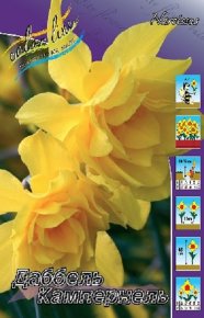 Нарцисс Дабл Кампернель (Narcissus Dubbele Campernelle), 10шт, Color Line