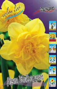 Нарцисс Дик Уайлден (Narcissus Dick Wilden), 10 шт, Color Line