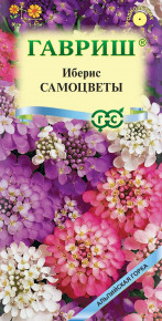 Семена Иберис зонтичный Фианит, 0,1г, Гавриш, Цветочная коллекция