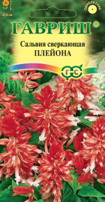 Семена Сальвия Плейона, 5шт, Гавриш, Цветочная коллекция