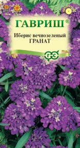 Семена Иберис зонтичный Гранат, 0,2г, Гавриш. Цветочная коллекция Семена Иберис зонтичный Гранат, 0,2г, Гавриш. Цветочная коллекция