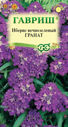 Семена Иберис зонтичный Гранат, 0,2г, Гавриш. Цветочная коллекция