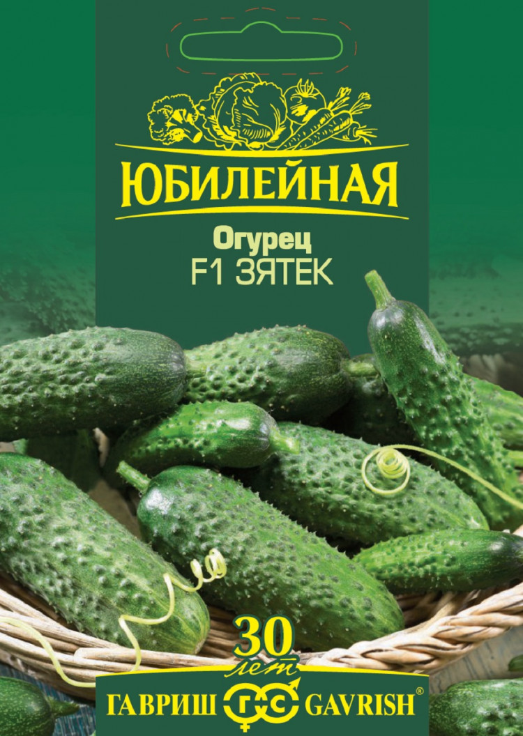 Огурец Зятек Фото