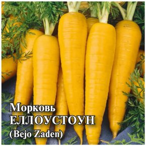 Семена Морковь Еллоустоун, 10г, Гавриш, Фермерское подворье, Bejo