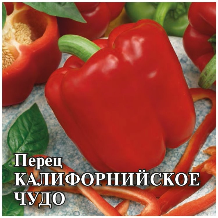 Перец Калифорнийское Чудо Фото Урожайность Характеристика