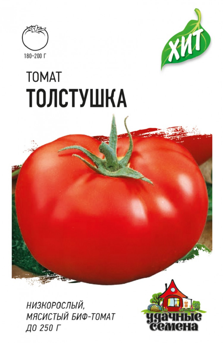 Томат удачные семена. Томат толстой Гавриш. Удачные семена томат толстушка. Семена крупных помидор. Помидоры толстой низкорослые.