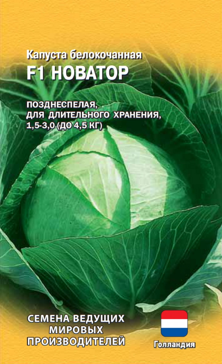 Семена Капусты Новатор Купить