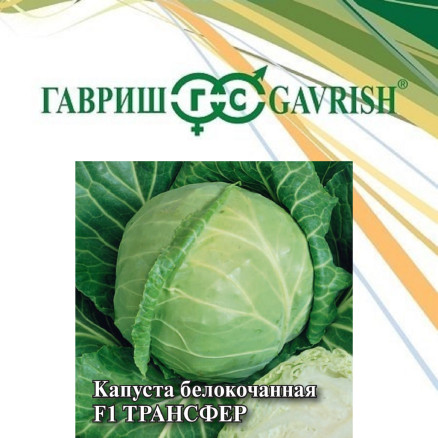 Семена Капуста белокочанная Трансфер F1, 25г, Гавриш, Фермерское подворье