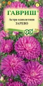 Семена Астра Зарево, карликовая, 0,3г, Гавриш, Цветочная коллекция