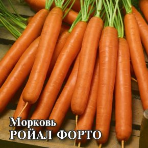 Семена Морковь Ройал Форто, 10г, Гавриш, Фермерское подворье, Seminis