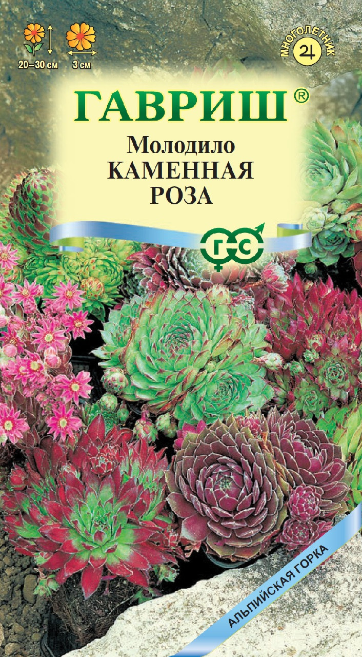 ✓ Семена Молодило Каменная Роза, 0,01г, Гавриш, Альпийская горка по цене 84  руб. ◈ Большой выбор ◈ Купить по всей России ✓ Интернет-магазин Гавриш ☎  8-495-902-77-18