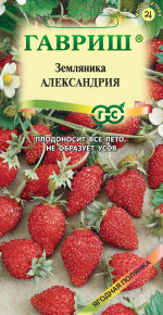 Семена Земляника Александрия, ремонтантная, 0,03г, Гавриш, Ягодная полянка