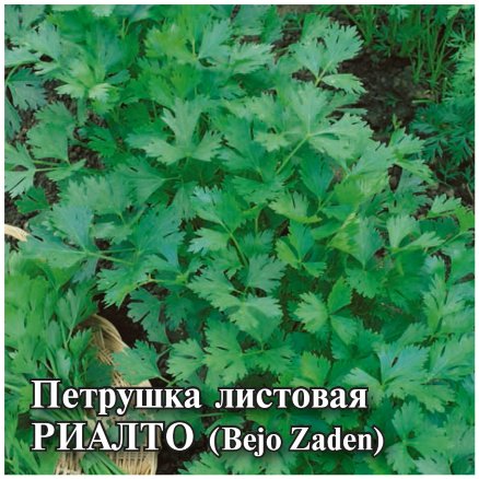 Семена Петрушка листовая Риалто, 10г, Гавриш, Фермерское подворье, Bejo