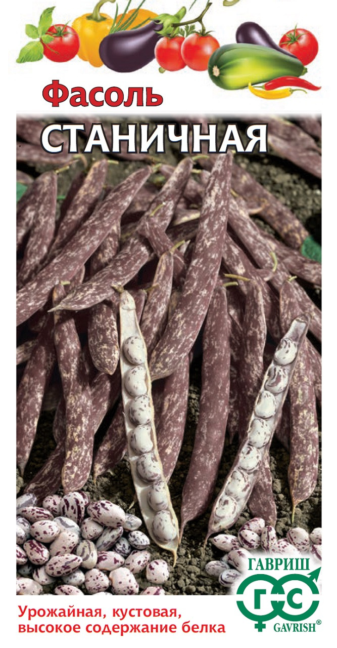 Семена Фасоль Блюхильда Купить