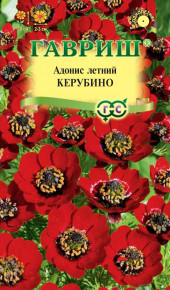 Семена Адонис Керубино, 0,1г, Гавриш, Цветочная коллекция