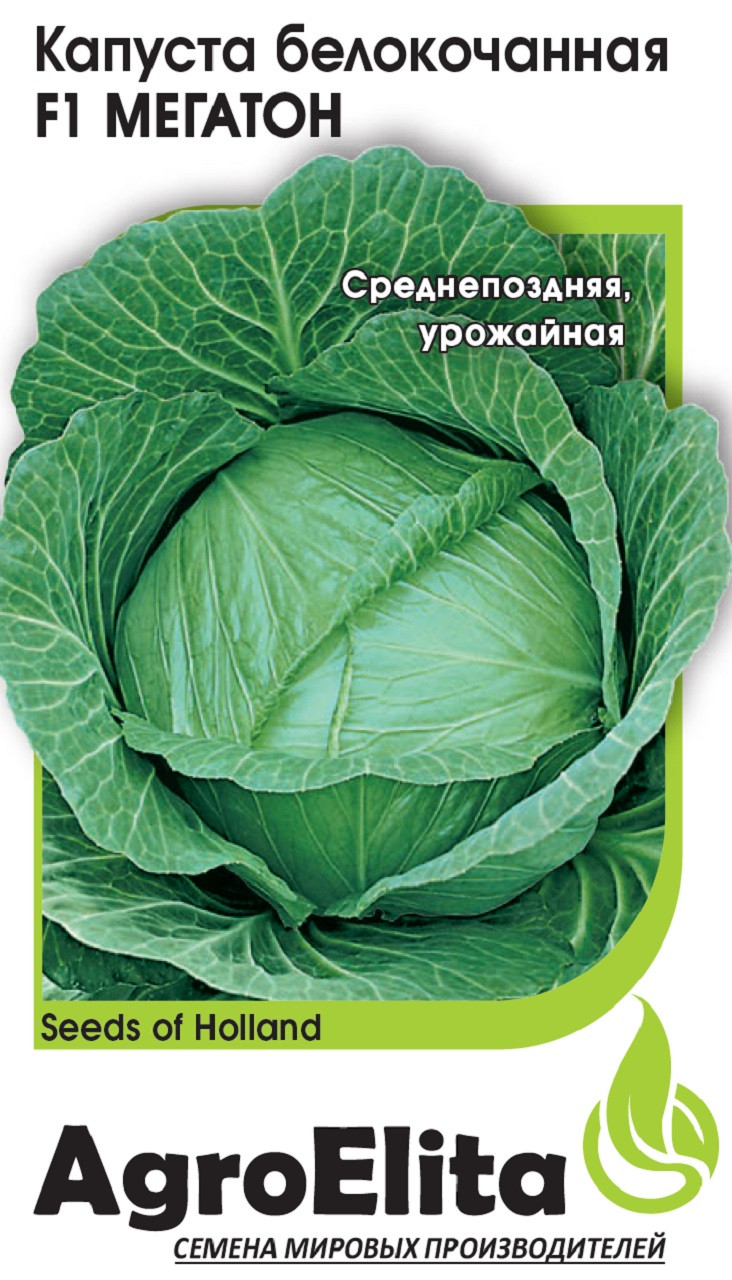 Семена Капуста белокочанная Мегатон F1, 10шт, AgroElita, Bejo по цене 49,60руб. Большой выбор Купить по всей России Интернет-магазин Гавриш8-495-902-77-18