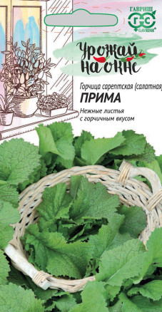 Семена Горчица сарептская (салатная) Прима, 1,0г, Гавриш, Урожай на окне