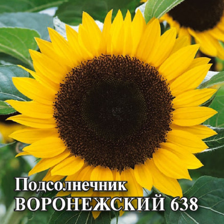 Семена Подсолнечник Воронежский 638, 100г, Гавриш, Фермерское подворье
