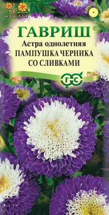 Семена Астра Пампушка черника со сливками, помпонная, 0,3г, Гавриш, Цветочная коллекция