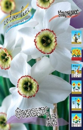 Нарцисс Физантс Ай (Narcissus Pheasant's Eye), 10шт, Color Line