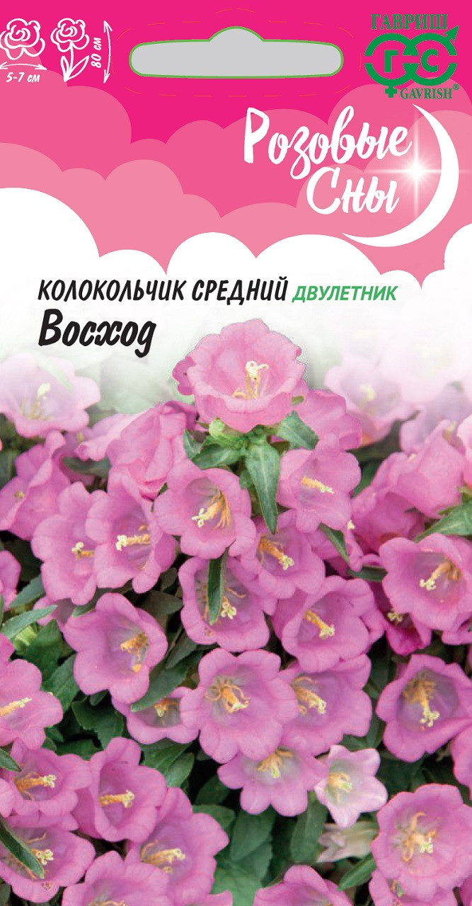 Кампанула Семена Купить В Интернет Магазине