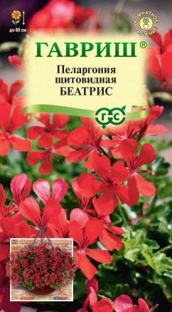 Семена Пеларгония Беатрис, 3шт, Гавриш, Цветочная коллекция