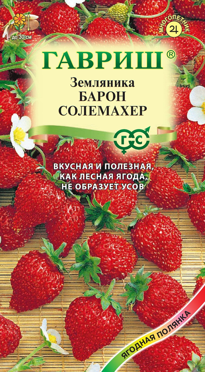 Семена Земляника Барон Солемахер, ремонтантная, 0,03г, Гавриш, Ягодная  полянка по цене 21 руб. Большой выбор Купить по всей России  Интернет-магазин Гавриш 8-495-902-77-18