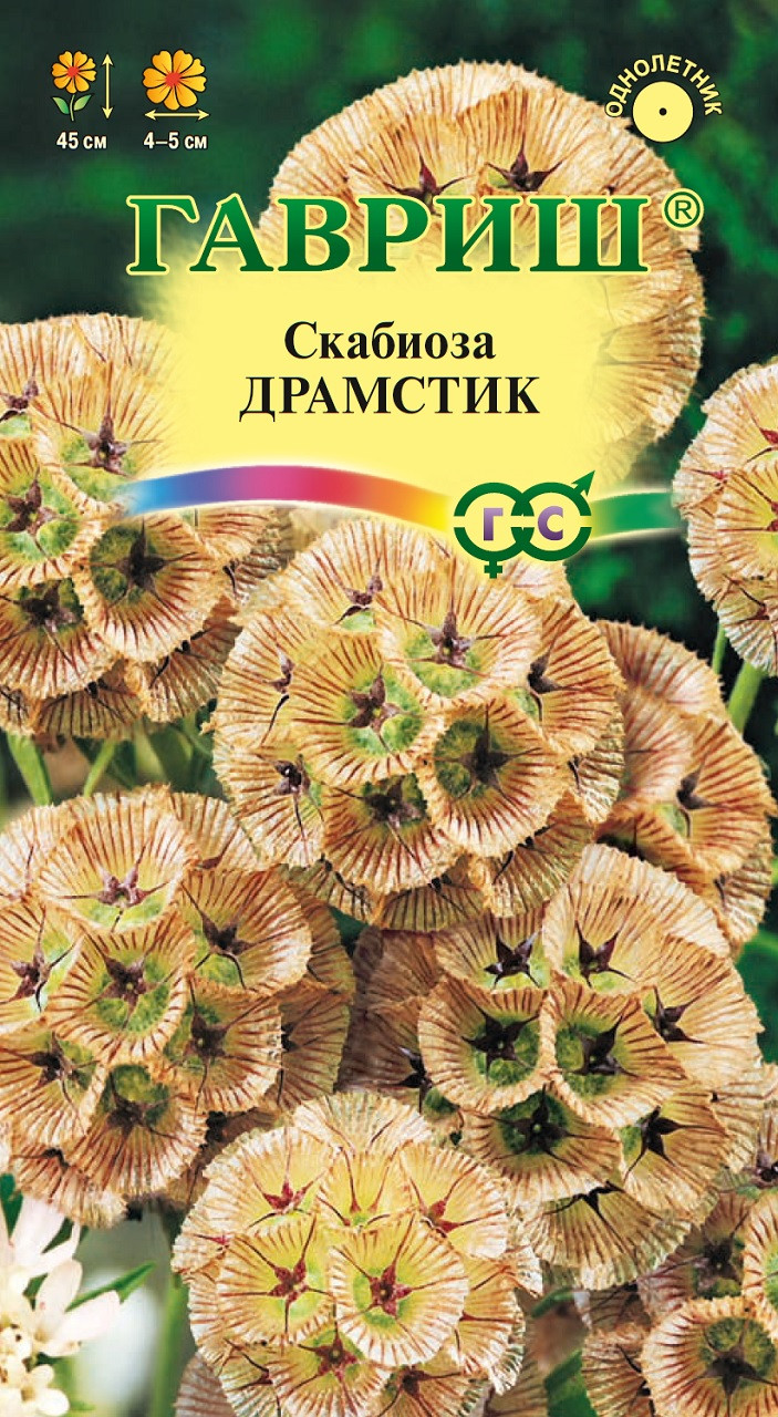 Семена Скабиоза Драмстик, 0,5г, Гавриш, Цветочная коллекция по цене 0 .